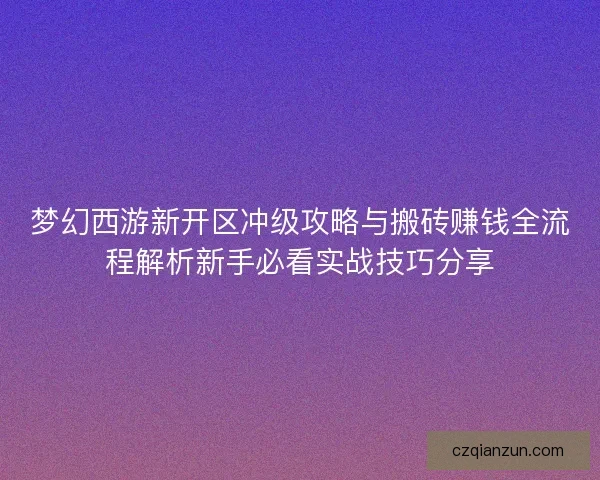 梦幻西游新开区冲级攻略与搬砖赚钱全流程解析新手必看实战技巧分享