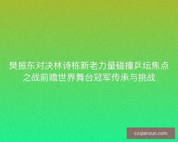 樊振东对决林诗栋新老力量碰撞乒坛焦点之战前瞻世界舞台冠军传承与挑战