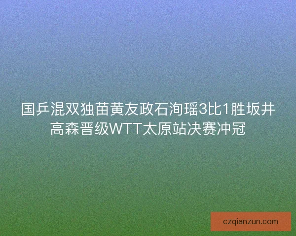 国乒混双独苗黄友政石洵瑶3比1胜坂井高森晋级WTT太原站决赛冲冠