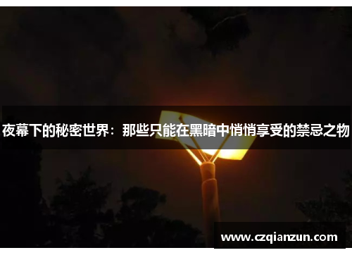 夜幕下的秘密世界：那些只能在黑暗中悄悄享受的禁忌之物